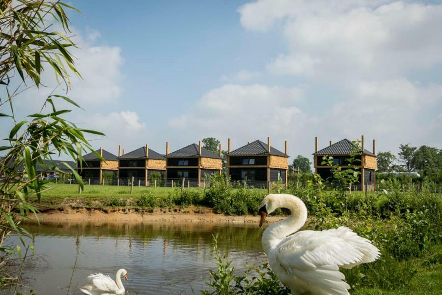 Camping Nieuw Romalo Voorthuizen Eksteriør bilde
